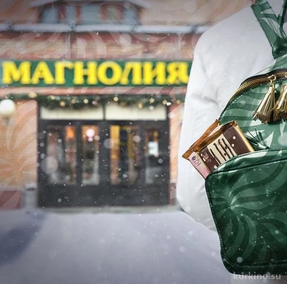 Удобный магазин Магнолия на Соколово-Мещерской улице Изображение 3